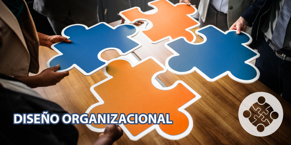 diseño organizacional
